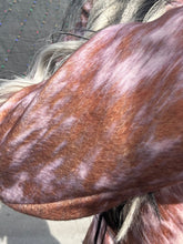 5500 Cows Come Home Blazer