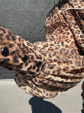 5517 Western Wild Top