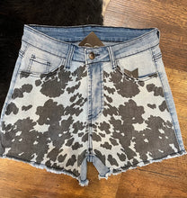646 CT Cow Shorts